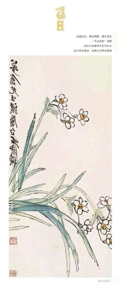 植物 寓意